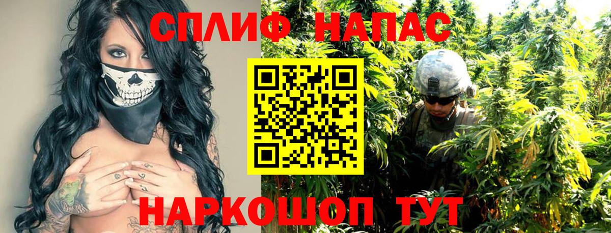 Бошки Шишки Amnesia  Бошки Шишки сатива  Елец  Вход с VPN 